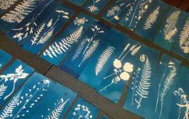 ,,Botaniczne i historyczne inspiracje"- realizacja projektu w ramach Konkursu Inicjatyw ,,Mocni Seniorzy 2025" 8