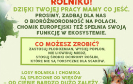 Kampania informacyjna na temat chomika europejskiego 2