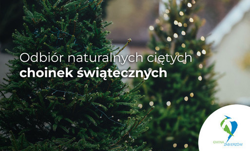 Zdjęcie do Odbi&oacute;r naturalnych ciętych choinek świątecznych