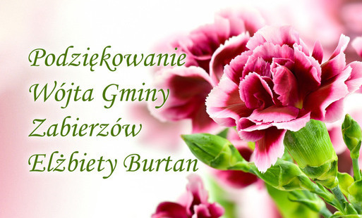 Zdjęcie do Podziękowanie W&oacute;jta Gminy Zabierz&oacute;w Elżbiety Burtan