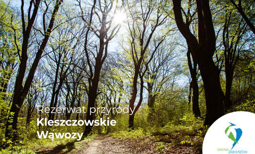 Zdjęcie do Zarządzenie Regionalnego Dyrektora Ochrony Środowiska w Krakowie w sprawie uznania za rezerwat przyrody &bdquo;Kleszczowskie Wąwozy&rdquo;