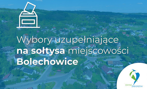 Zdjęcie do Wybory uzupełniające Sołtysa miejscowości Bolechowice