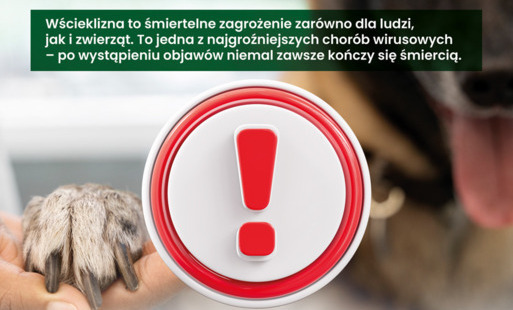 Zdjęcie do Wścieklizna - śmiertelne zagrożenie dla ludzi i zwierząt