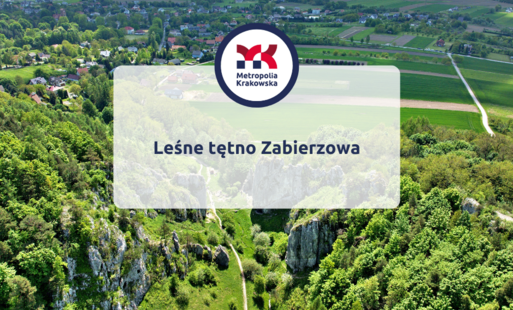 Zdjęcie do Mikrowyprawy &bdquo;Metropolia w jeden dzień&rdquo; - małe podr&oacute;że, wielkie odkrycia