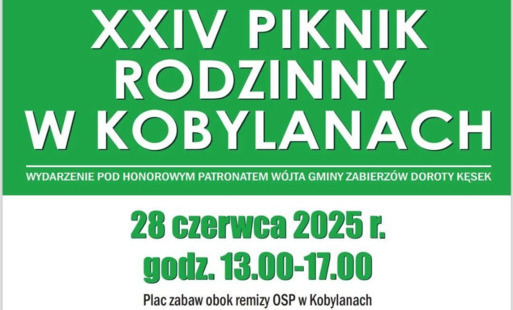 Zdjęcie do Piknik Rodzinny w Kobylanach