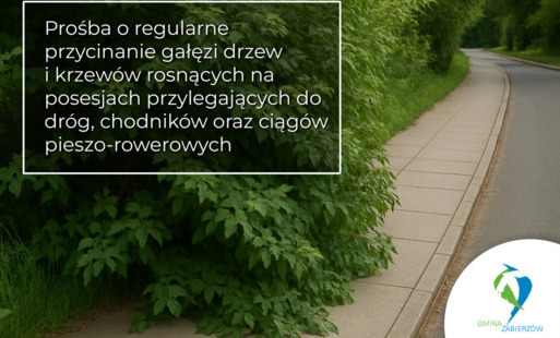 Zdjęcie do Prośba o regularne przycinanie gałęzi drzew i krzew&oacute;w rosnących na posesjach przylegających do dr&oacute;g, chodnik&oacute;w oraz ciąg&oacute;w pieszo-rowerowych