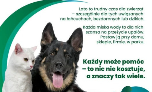 Zdjęcie do Mały gest, wielka moc &ndash; wystaw miskę!