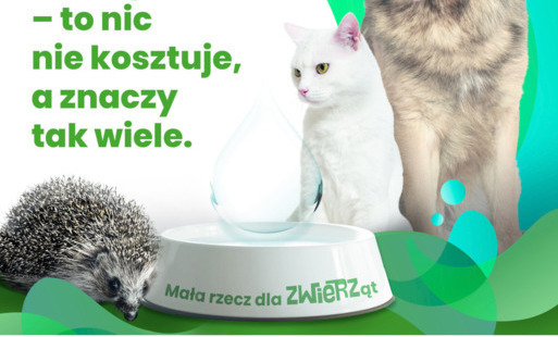 Zdjęcie do Mały gest, wielka moc &ndash; wystaw miskę!