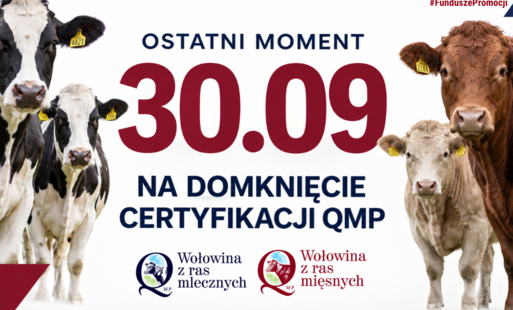 Zdjęcie do Certyfikat QMP &mdash; termin uzyskania upływa 30 września 2026 r.