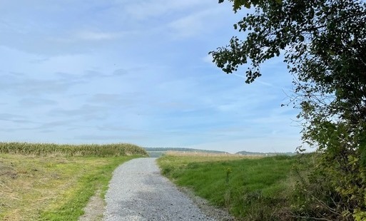 Zdjęcie do Zmodernizowane drogi dojazdowe do grunt&oacute;w rolnych