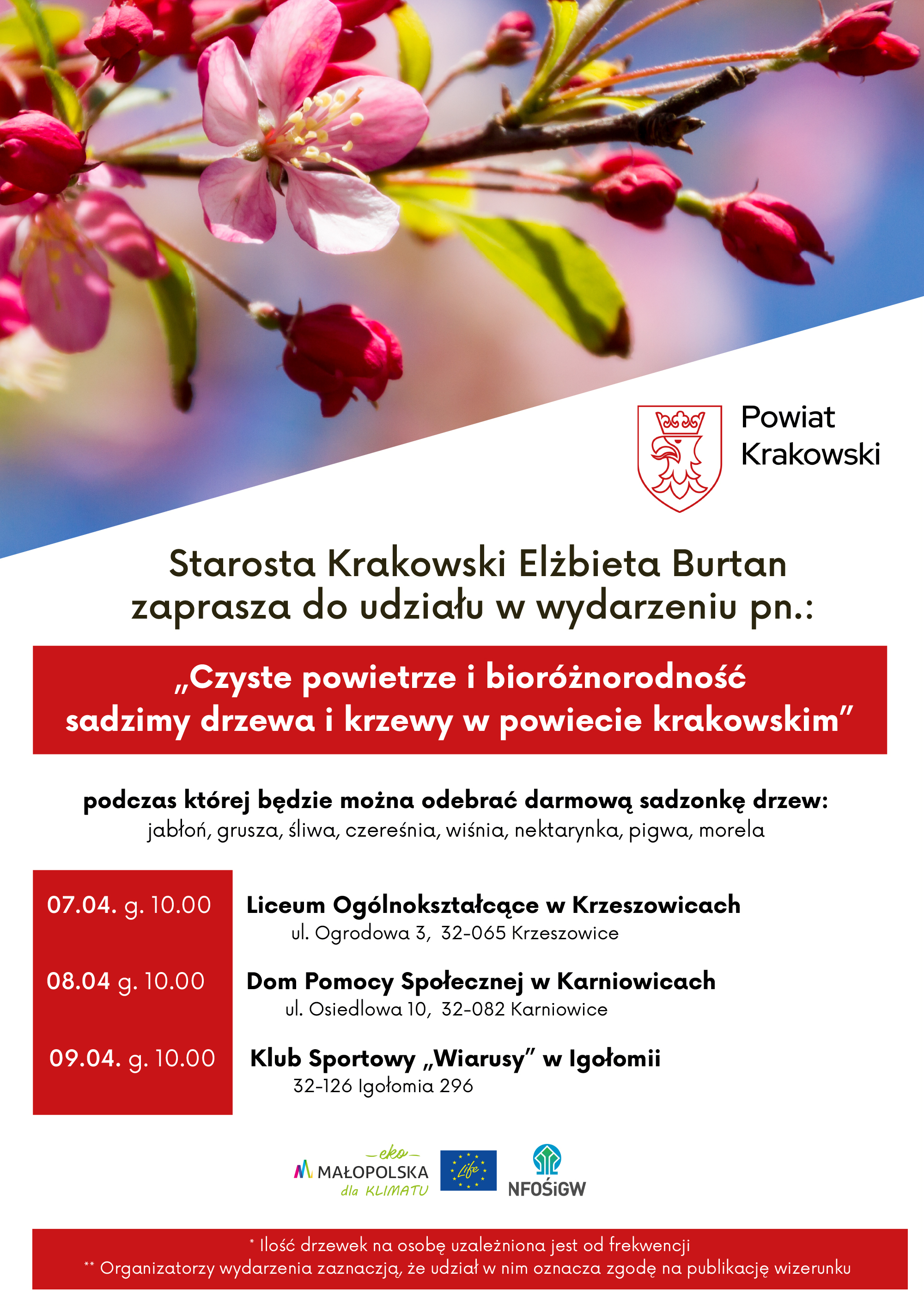 "Czyste powietrze i bioróżnorodność sadzimy drzewa i krzewy w powiecie krakowskim"