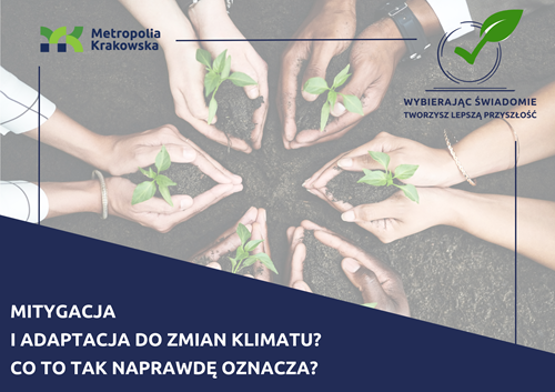 Mitygacja i adaptacja do zmian klimatu? Co to naprawdę oznacza? 