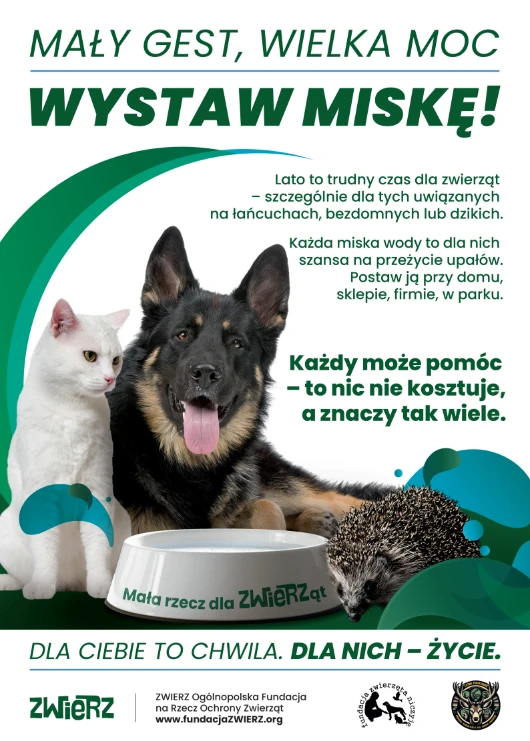 Mały gest, wielka moc – wystaw miskę! - plakat
