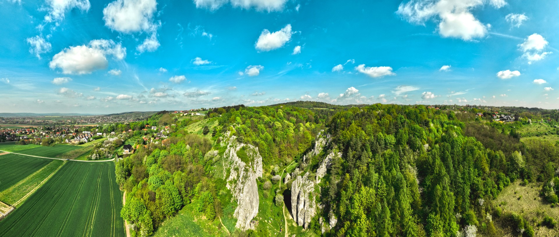 Dolina Bolechowicka
