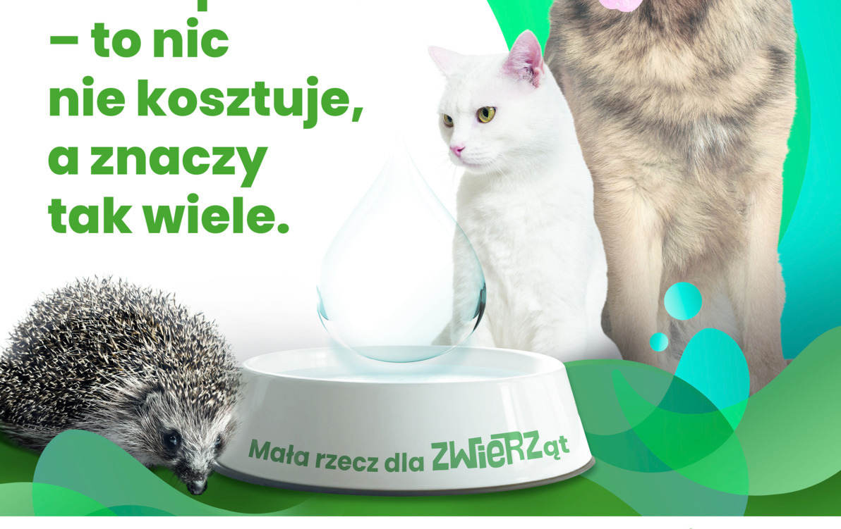 Mały gest, wielka moc – wystaw miskę!
