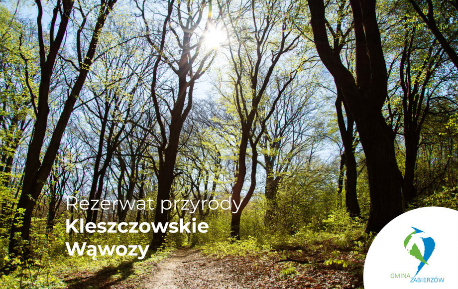 Zarządzenie Regionalnego Dyrektora Ochrony Środowiska w Krakowie w sprawie uznania za rezerwat przyrody „Kleszczowskie Wąwozy”